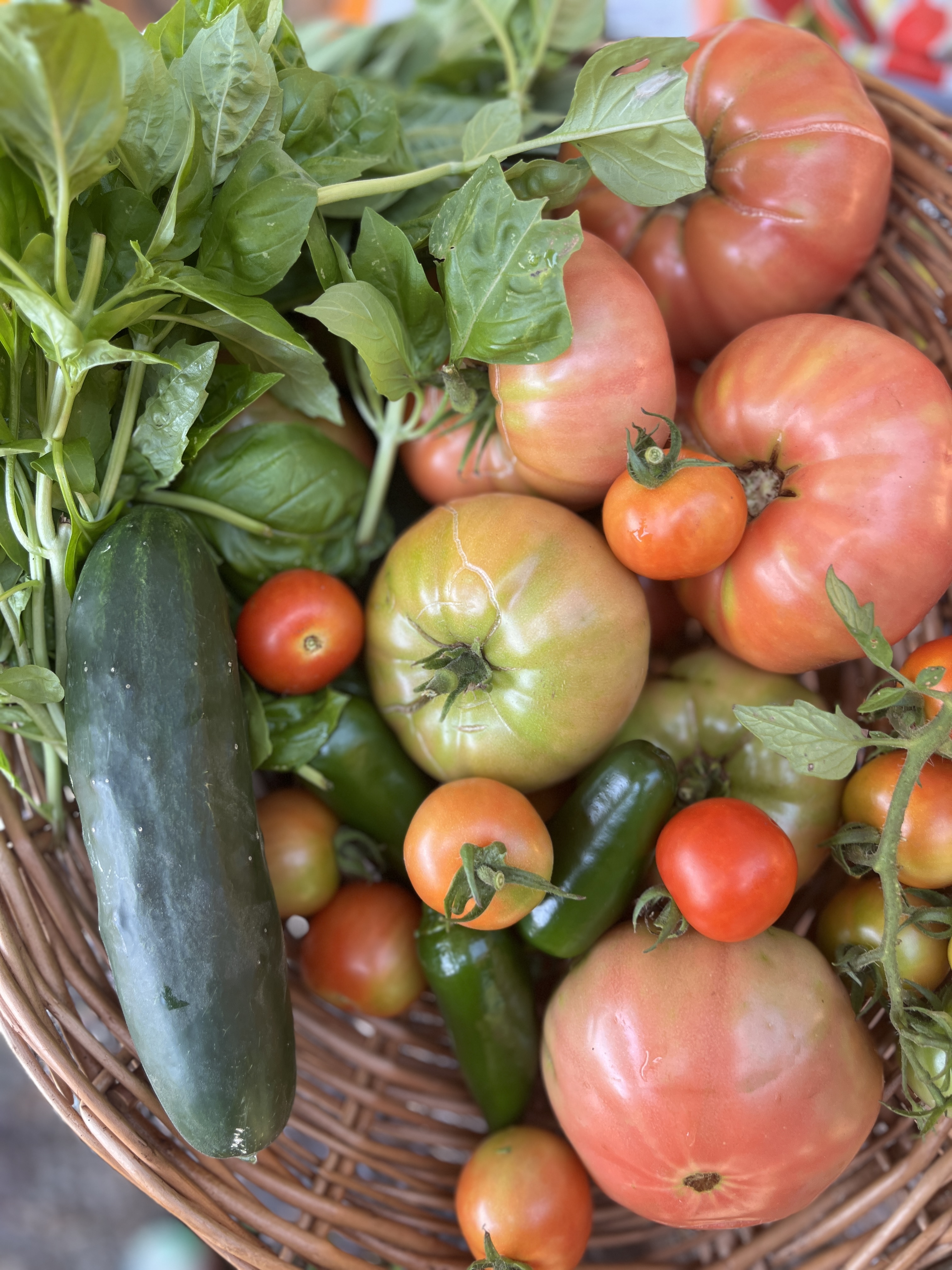 How to Prepare for Homesteading (Even If You Don’t Have Land Yet)