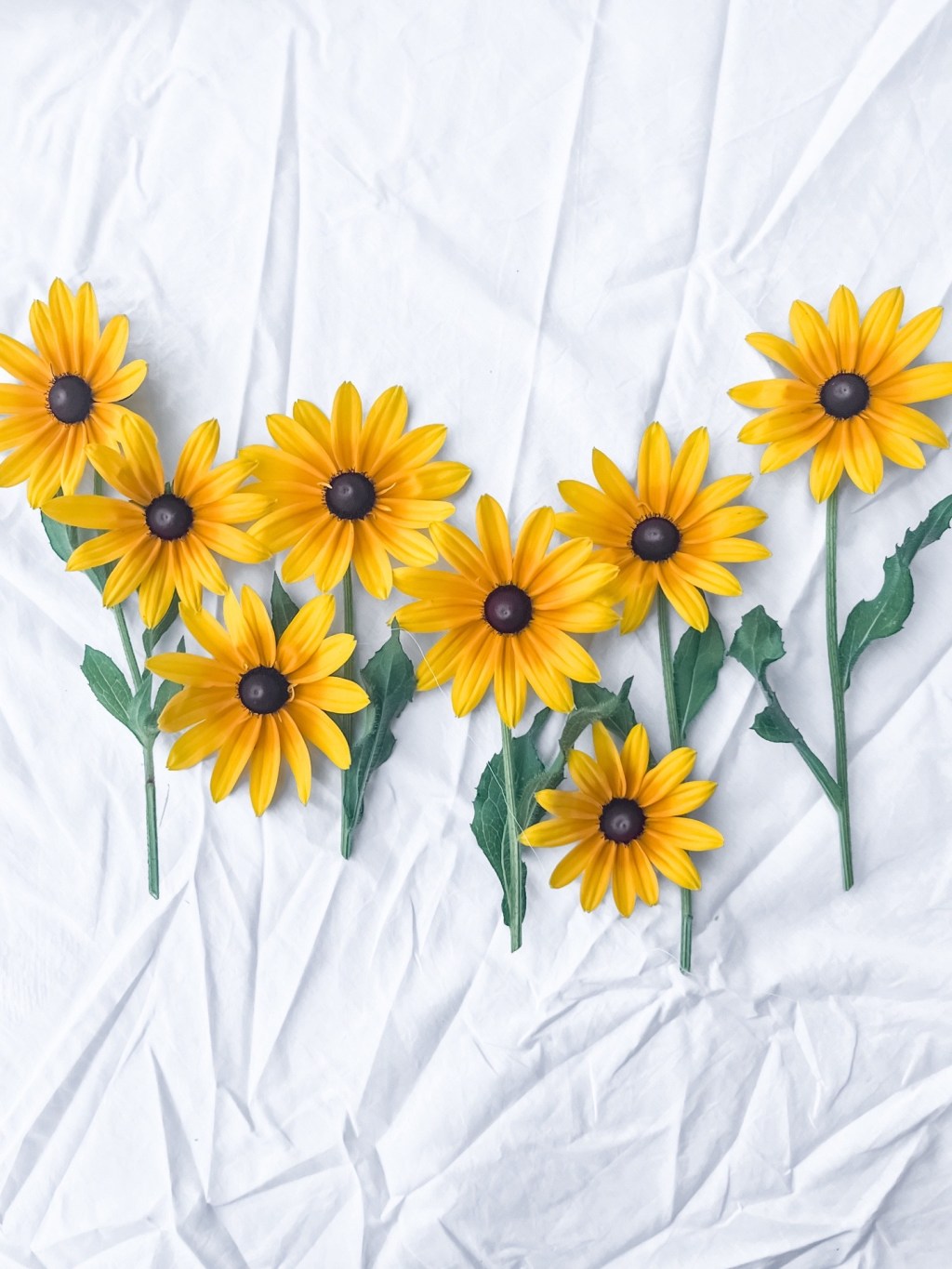 the art of the&nbsp;pivot